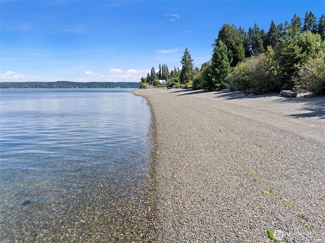 10601 87th Ct, Anderson Island, WA 98303 - water view