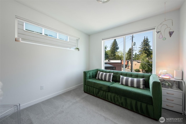 8380 Loyal Way NW, Seattle, WA 98117 - photo 21