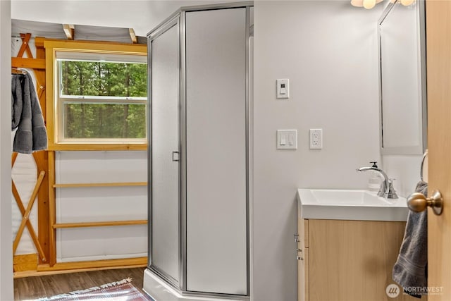 39 Ulrich Ln, Mazama, WA 98833 - bathroom with vanity, wood finished floors, and a shower with shower door