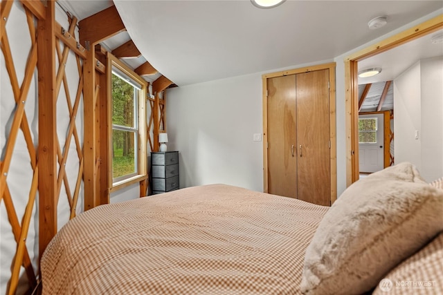 39 Ulrich Ln, Mazama, WA 98833 - bedroom with lofted ceiling, multiple windows, and a closet