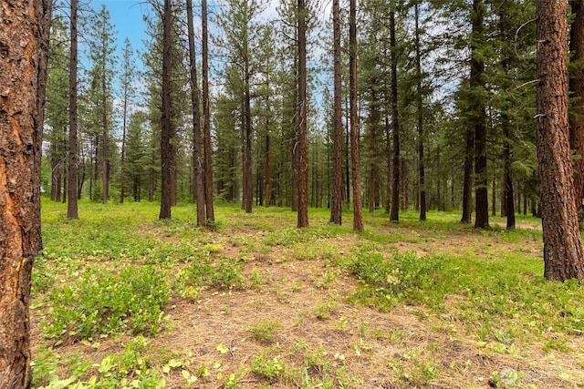 39 Ulrich Ln, Mazama, WA 98833 - view of woods