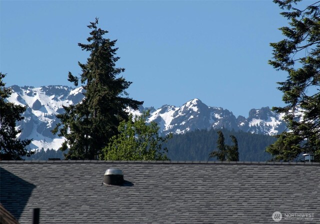 3018 S Peabody St, Port Angeles, WA 98362 - photo 24