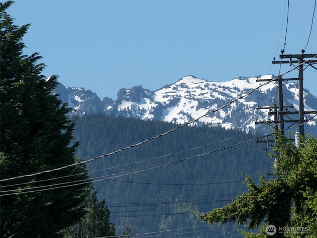 3018 S Peabody St, Port Angeles, WA 98362 - photo 25