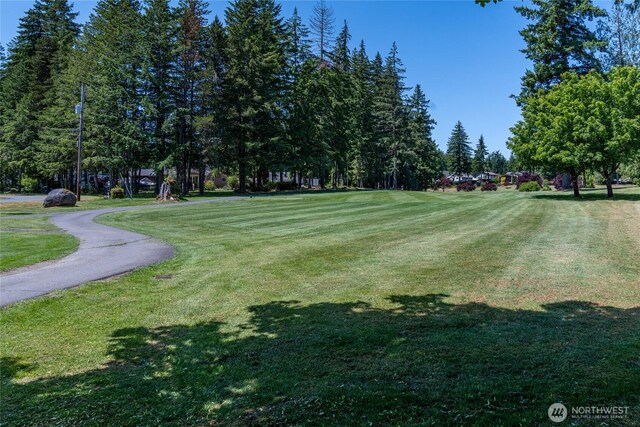 60E Barnsby Pl, Shelton, WA 98584 - photo 31