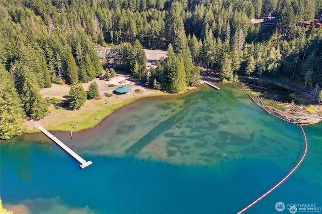 451 N Mount Jupiter Dr, Hoodsport, WA 98548 - view of property location with a heavily wooded area and a large body of water
