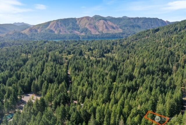 451 N Mount Jupiter Dr, Hoodsport, WA 98548 - mountain view featuring a forest