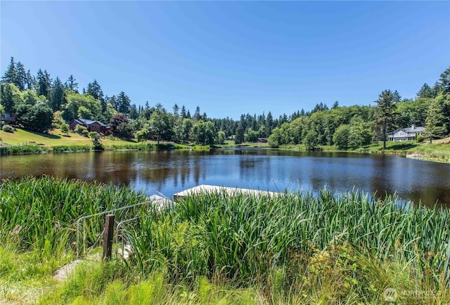 1164 Honeymoon Lake Dr, Greenbank, WA 98253 - photo 33