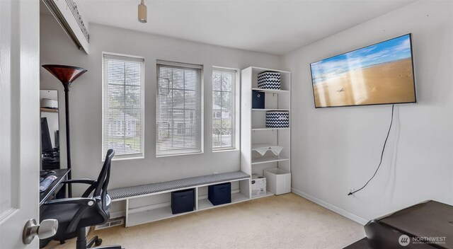 23434 SE 248th St, Maple Valley, WA 98038 - photo 18