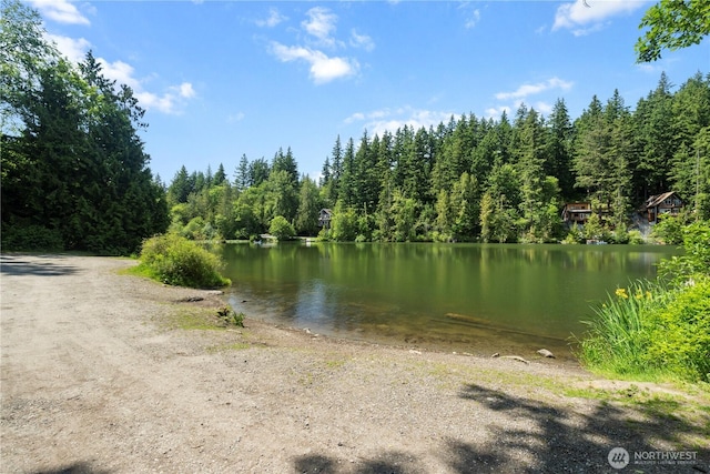 1768 Emerald Lake Way, Bellingham, WA 98226 - photo 20