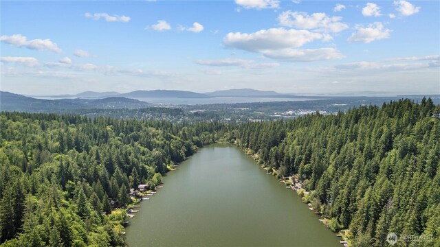 1768 Emerald Lake Way, Bellingham, WA 98226 - photo 29