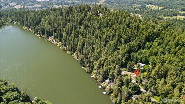 1768 Emerald Lake Way, Bellingham, WA 98226 - photo 30
