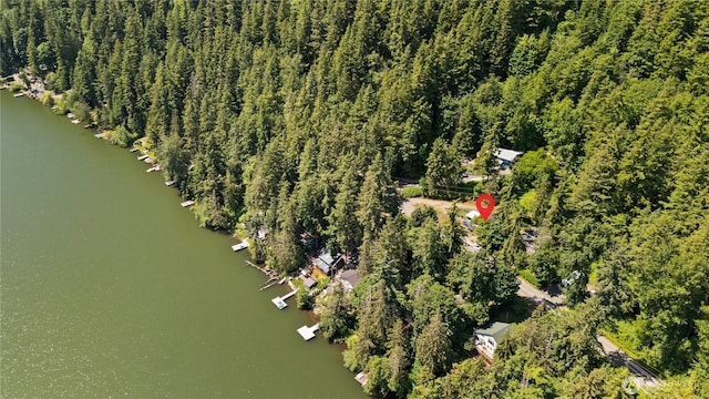 1768 Emerald Lake Way, Bellingham, WA 98226 - photo 33