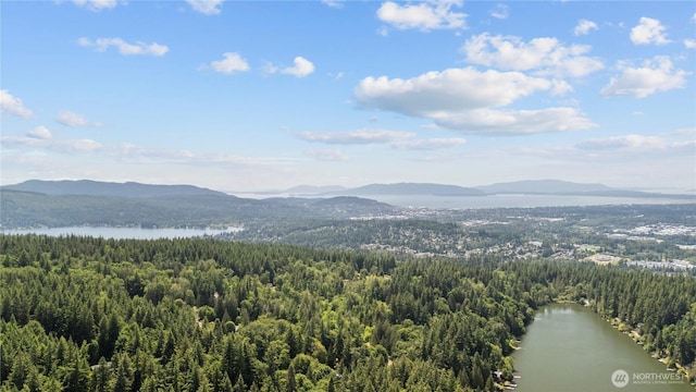 1768 Emerald Lake Way, Bellingham, WA 98226 - photo 34