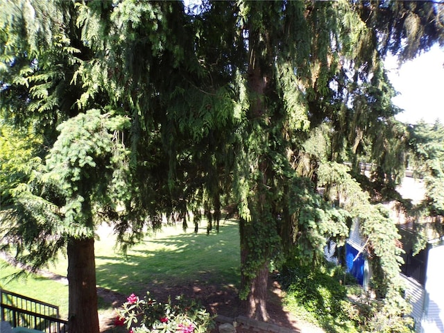 2020 SW 318th Pl Unit C3, Federal Way, WA 98023 - view of grassy yard