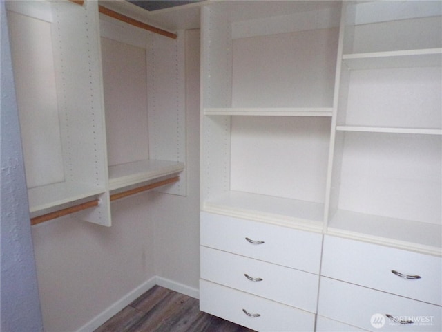2020 SW 318th Pl Unit C3, Federal Way, WA 98023 - walk in closet featuring dark wood-style flooring
