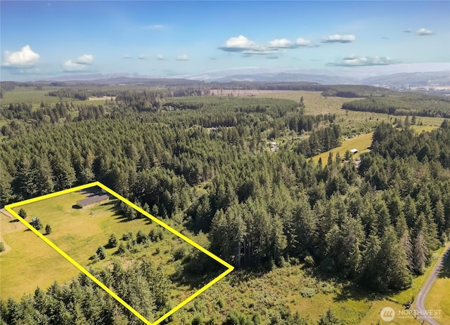 250 Hewitt Rd Unit 23, Chehalis, WA 98532 - aerial view of property's location with a heavily wooded area, property parcel outlined, and mountains