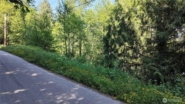 404 W Alder Dr, Sedro Woolley, WA 98284