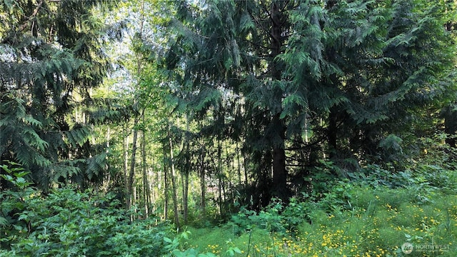 404 W Alder Dr, Sedro Woolley, WA 98284