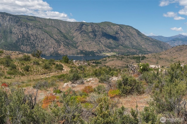 0 Glory View Ln Lot 5, Manson, WA 98831