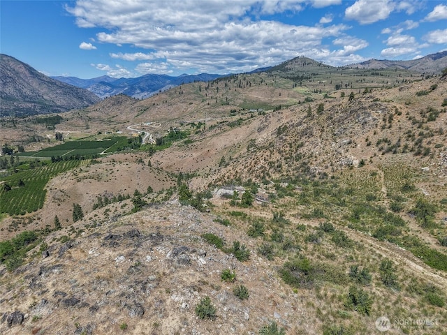 0 Glory View Ln Lot 5, Manson, WA 98831
