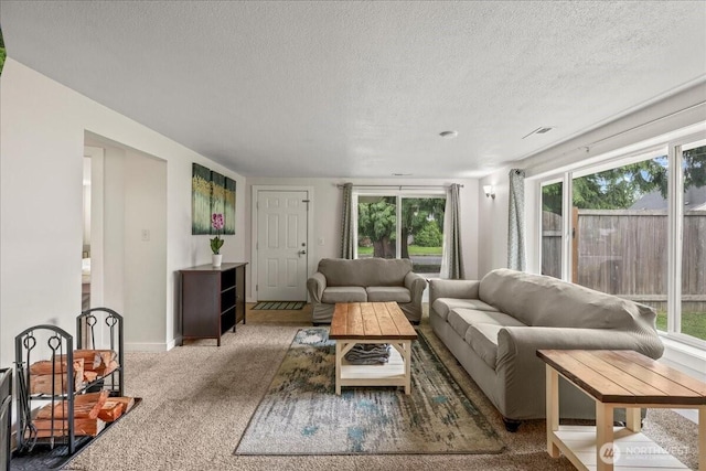 1412 Mcmillan Ave, Sumner, WA 98390 - carpeted living area with plenty of natural light, a textured ceiling, and baseboards