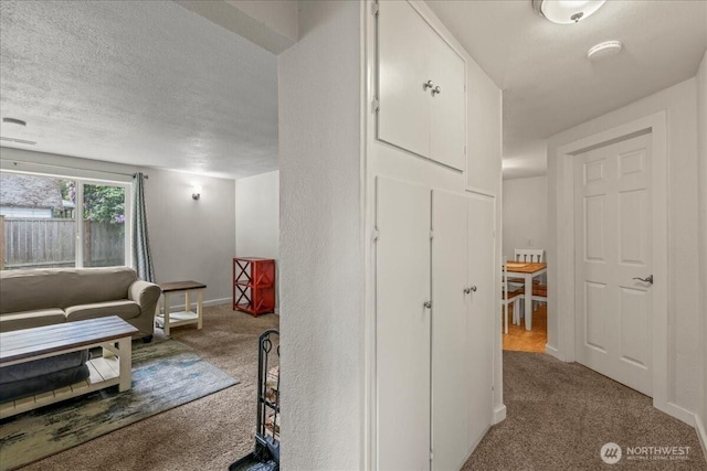 1412 Mcmillan Ave, Sumner, WA 98390 - corridor featuring carpet, baseboards, and a textured ceiling