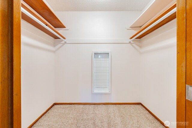 4456 Whitman Ave N, Seattle, WA 98103 - walk in closet with carpet floors