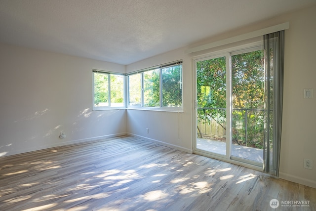 4456 Whitman Ave N, Seattle, WA 98103 - unfurnished room featuring baseboards, wood finished floors, and a textured ceiling