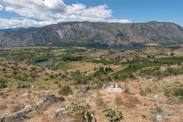 0 Glory View Ln Lot 4, Manson, WA 98831