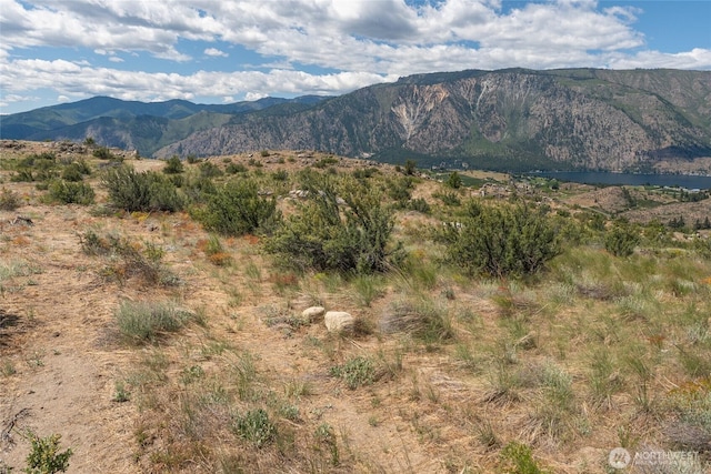 0 Glory View Ln Lot 4, Manson, WA 98831
