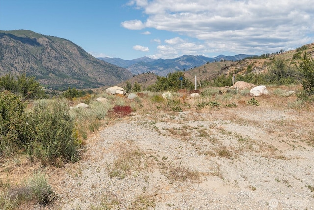 0 Glory View Ln Lot 4, Manson, WA 98831