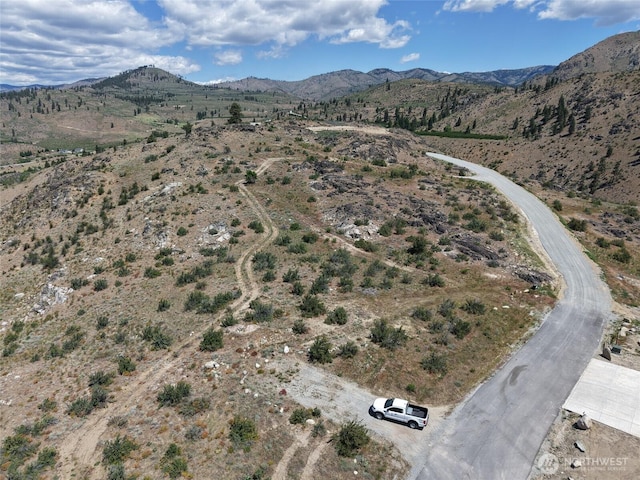 0 Glory View Ln Lot 4, Manson, WA 98831