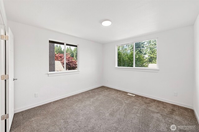 4306 19th Ave NW, Gig Harbor, WA 98335 - photo 36