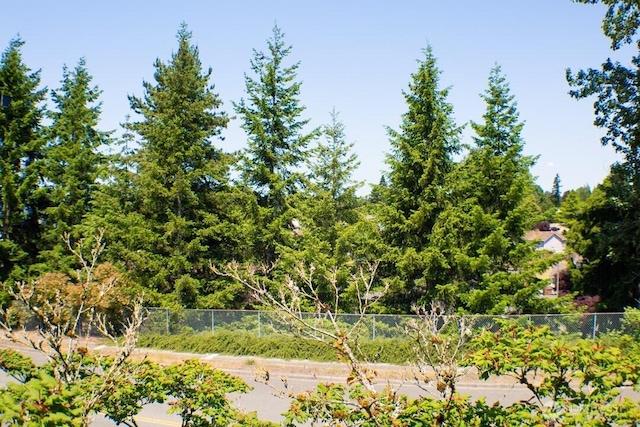2611 NE 4th St Unit 234, Renton, WA 98056 - view of yard