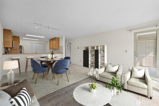 1964 26th Ave W Unit 102, Seattle, WA 98199 - living area featuring light carpet and track lighting