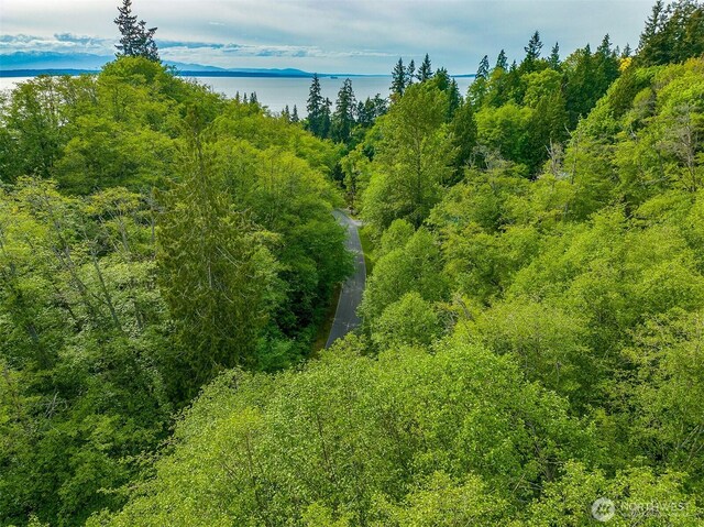 7211 Meadowdale Beach Rd, Edmonds, WA 98026 - photo 11