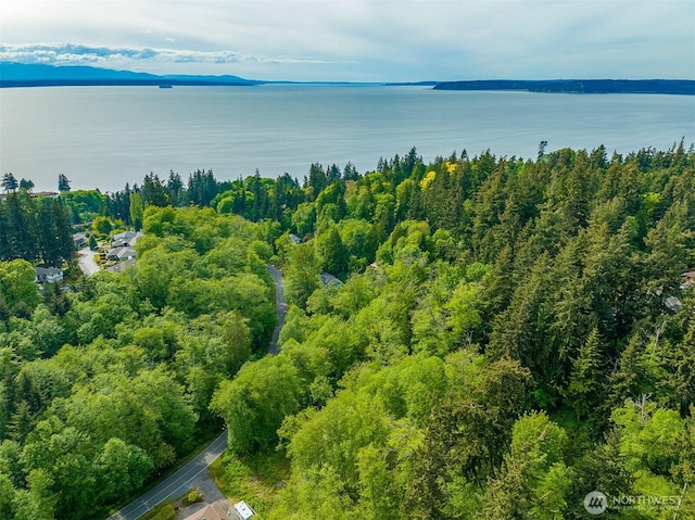 7211 Meadowdale Beach Rd, Edmonds, WA 98026 - photo 12