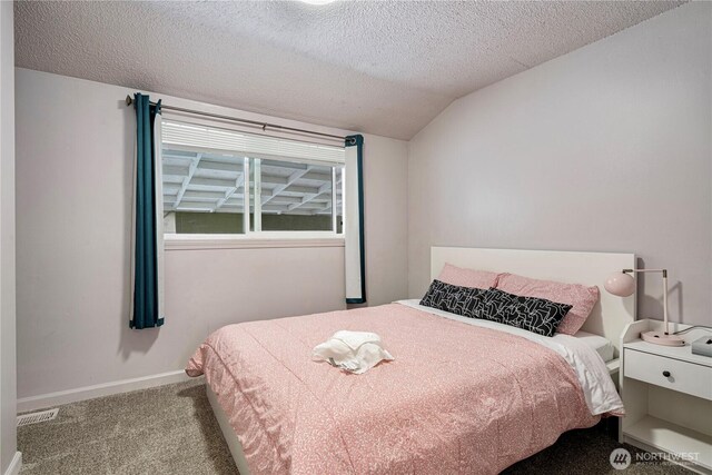 31111 53rd Ave SW, Federal Way, WA 98023 - bedroom with vaulted ceiling, carpet flooring, and a textured ceiling