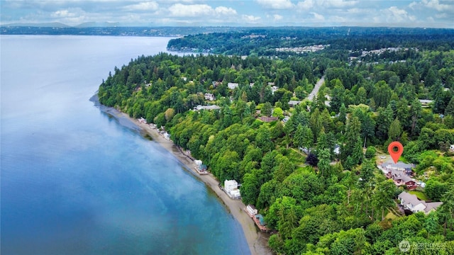 31111 53rd Ave SW, Federal Way, WA 98023 - bird's eye view of a heavily wooded area and a large body of water
