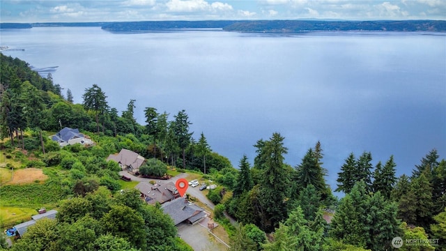 31111 53rd Ave SW, Federal Way, WA 98023 - bird's eye view of a nearby body of water