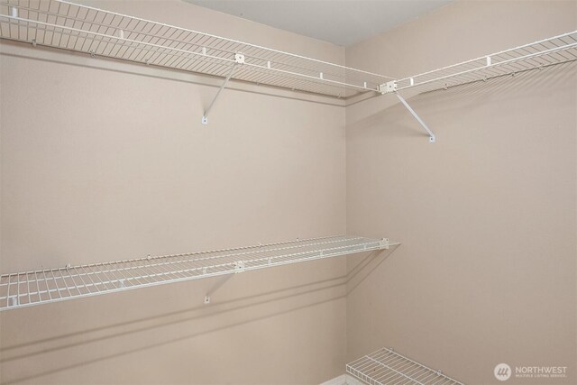 6513 156th Ave SE, Bellevue, WA 98006 - view of walk in closet