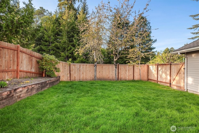 6513 156th Ave SE, Bellevue, WA 98006 - view of yard