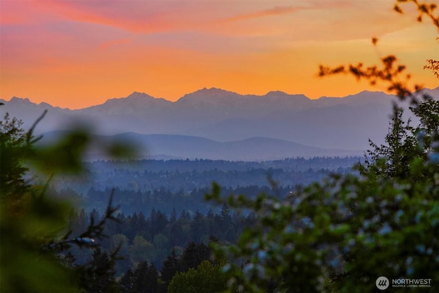 6513 156th Ave SE, Bellevue, WA 98006 - mountain view with a heavily wooded area