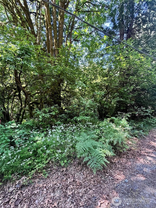 12014 126th Ave NW, Gig Harbor, WA 98329