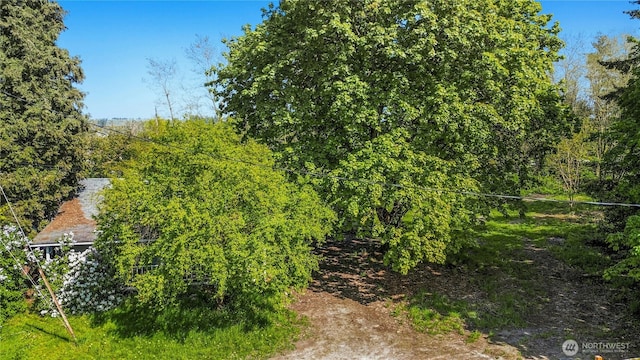 99 Sumner Ave, Sumner, WA 98390 - view of yard