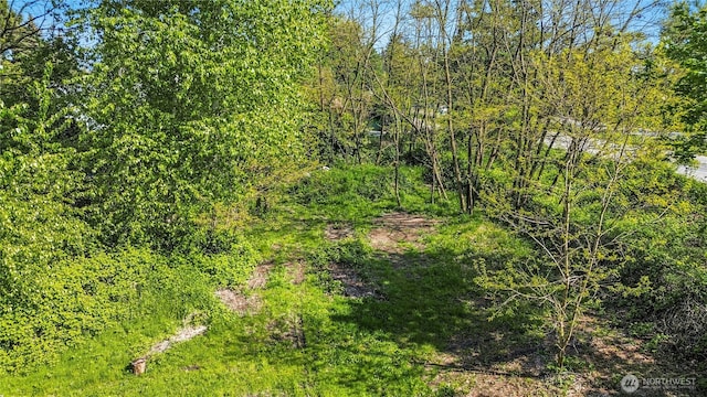 99 Sumner Ave, Sumner, WA 98390 - view of nature