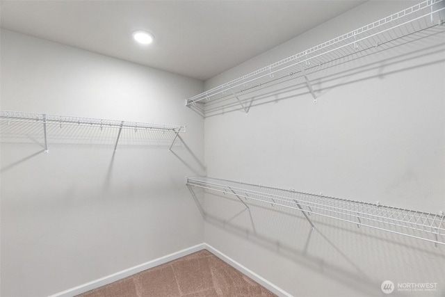 2719 Fiddleback St NE, Lacey, WA 98516 - walk in closet with carpet floors