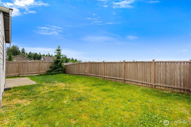 2719 Fiddleback St NE, Lacey, WA 98516 - view of yard