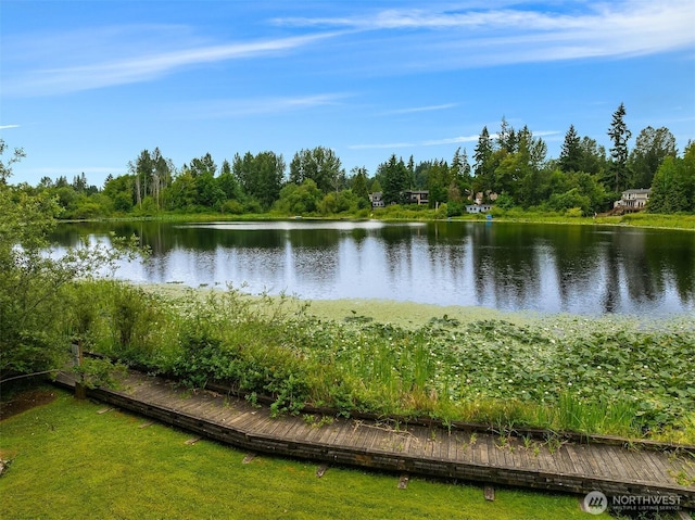 12315 NE 97th St Unit G, Kirkland, WA 98033 - water view