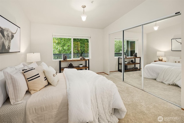 12315 NE 97th St Unit G, Kirkland, WA 98033 - bedroom featuring carpet, multiple windows, and a closet
